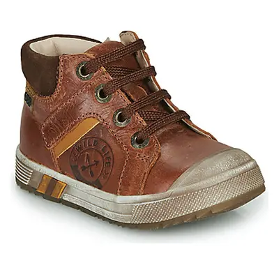 GBB OLANGO boys's Children's Shoes (High-top Trainers) in Brown