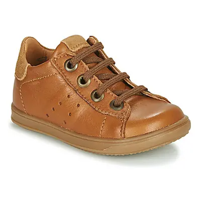 Little Mary DUSTIN boys's Children's Shoes (Trainers) in Brown