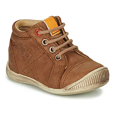 GBB TARAVI boys's Children's Shoes (High-top Trainers) in Brown