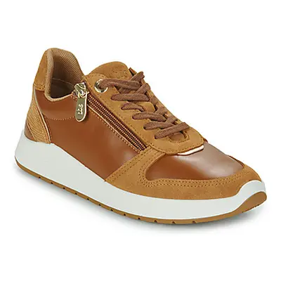 TBS EUGEZIP women's Shoes (Trainers) in Brown