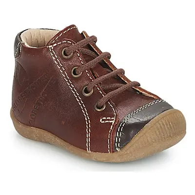 GBB NOE boys's Children's Mid Boots in Brown