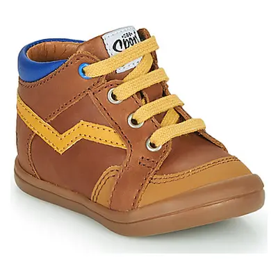 GBB ASTORY boys's Children's Shoes (High-top Trainers) in Brown