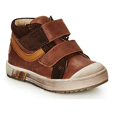 GBB OMALLO boys's Children's Shoes (High-top Trainers) in Brown