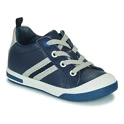 Little Mary LOGAN boys's Children's Shoes (Trainers) in Blue