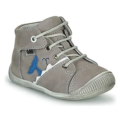 GBB ABRICO boys's Children's Shoes (High-top Trainers) in Grey