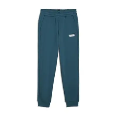 Puma ESS+ 2 COL LOGO PANTS FL CL boys's Children's Sportswear in Green