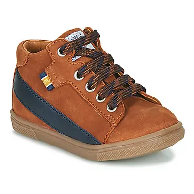 GBB WESTY boys's Children's Shoes (High-top Trainers) in Brown