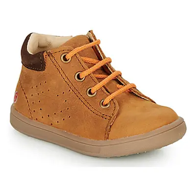 GBB FOLLIO boys's Children's Shoes (High-top Trainers) in Brown