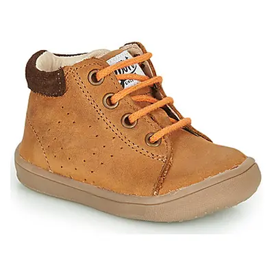 GBB FOLLIO boys's Children's Mid Boots in Brown