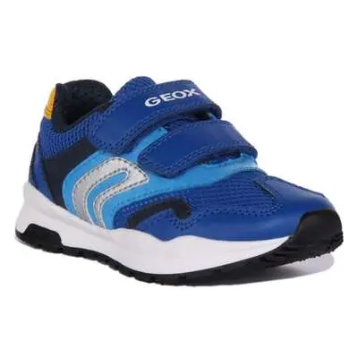 Geox J Pavel B. A boys's Trainers in Blue