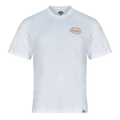 Dickies DICKIES GLOBE TEE SS men's T shirt in White