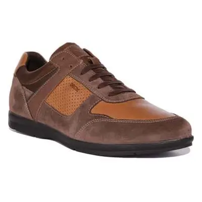 Geox U Adrien A men's Trainers in Brown