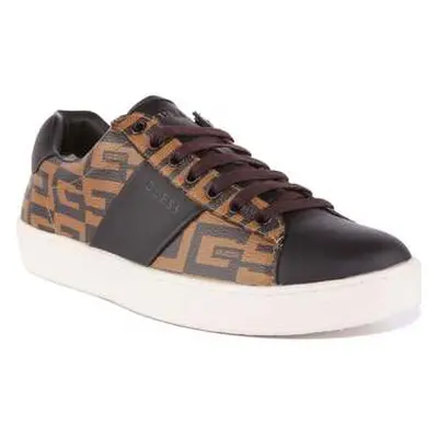 Guess Nola Fm7Nollel12 men's Trainers in Brown