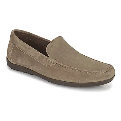 Geox TIVOLI men's Loafers / Casual Shoes in Beige