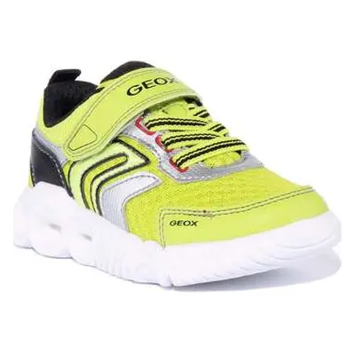 Geox J Wroom boys's Trainers in Yellow