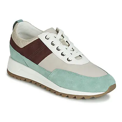 Geox D TABELYA women's Shoes (Trainers) in Beige