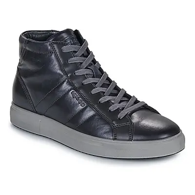 IgI&CO U.SACHA men's Shoes (High-top Trainers) in Black