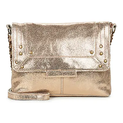 Pieces PCFELIZIA women's Shoulder Bag in Gold