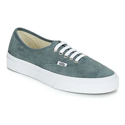 Vans Authentic men's Shoes (Trainers) in multicolour