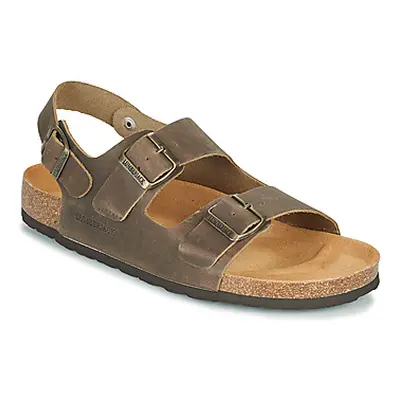 Lumberjack FLINT men's Sandals in Brown