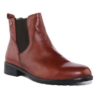 Strive Windsor women's Mid Boots in Brown