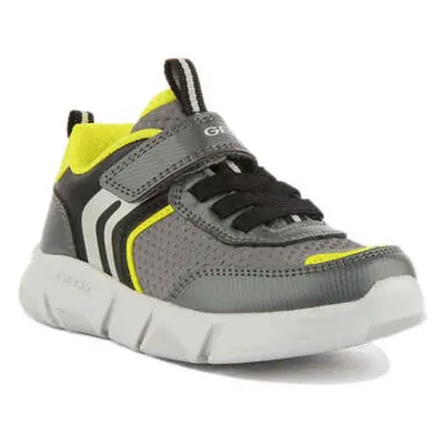 Geox Aril Boy Trainers boys's Trainers in Grey