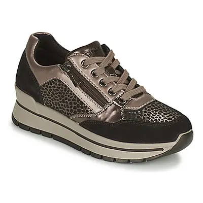 IgI&CO DONNA ANISIA women's Shoes (Trainers) in Grey