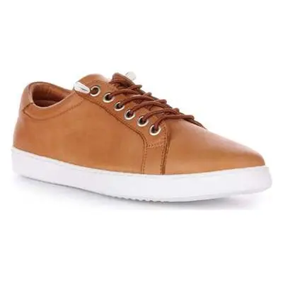 Justinreess England Elita Tan women's Slip-ons (Shoes) in Brown