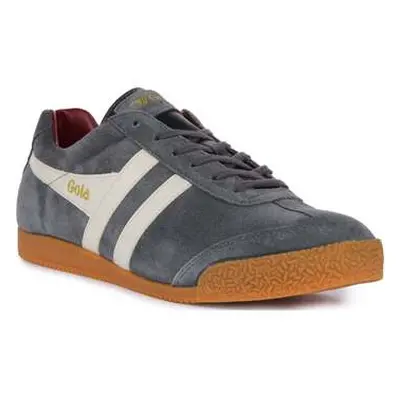 Gola Harrier Low Storm men's Trainers in Grey