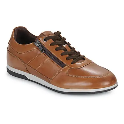 Geox U RENAN men's Shoes (Trainers) in Brown