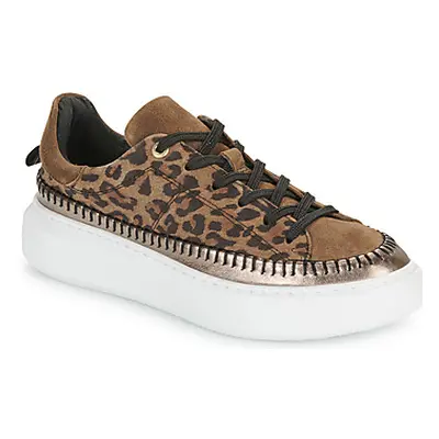 JB Martin FLEUR women's Shoes (Trainers) in Brown