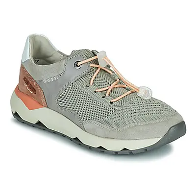 Josef Seibel JONAH 03 women's Shoes (Trainers) in Grey