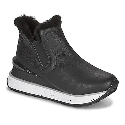 Gioseppo FEDJE women's Shoes (High-top Trainers) in Black