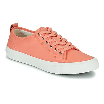 Clarks Roxby Lace women's Shoes (Trainers) in Pink