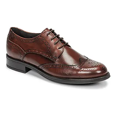 Carlington LOUVIAN men's Casual Shoes in Brown