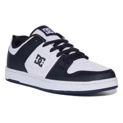 DC Shoes Manteca 4 Sn men's Trainers in Multicolour