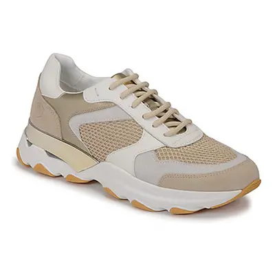 Lumberjack SWAY women's Shoes (Trainers) in Beige