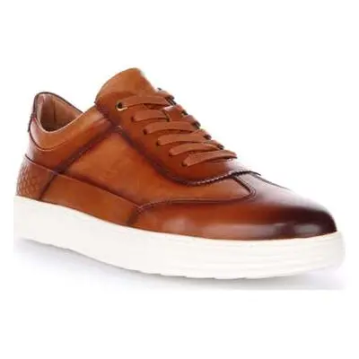 Justinreess England Levent men's Trainers in Brown