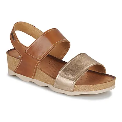 Pikolinos MAHON women's Sandals in Brown