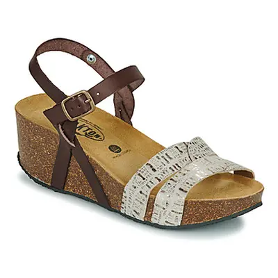 Plakton SO KIMBO women's Sandals in Brown