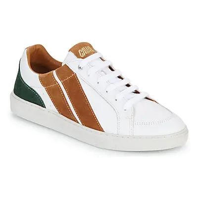 Caval OG SLASH women's Shoes (Trainers) in White