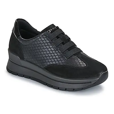 IgI&CO DONNA ANIKA women's Shoes (Trainers) in Black