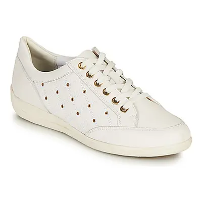 Geox D MYRIA H women's Shoes (Trainers) in White