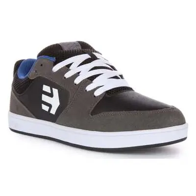 Etnies Verano men's Trainers in Grey