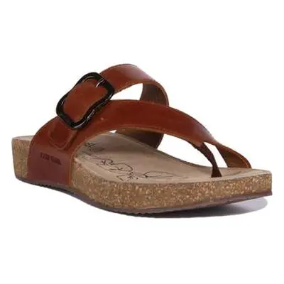 Josef Seibel Tonga 77 women's Sandals in Brown