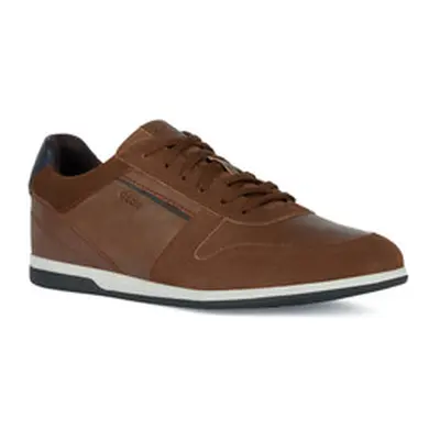 Geox U RENAN A men's Shoes (Trainers) in Brown