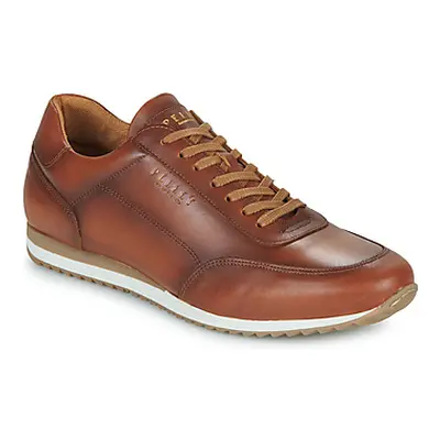 Pellet MARC men's Shoes (Trainers) in Brown