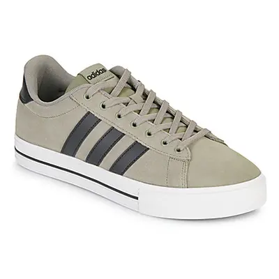 Adidas DAILY 4.0 men's Shoes (Trainers) in Kaki