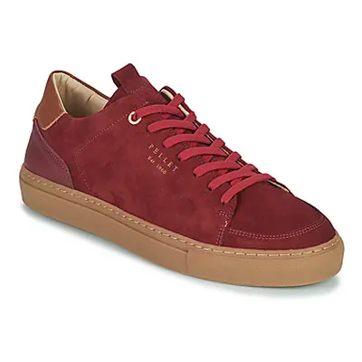 Pellet SIMON men's Shoes (Trainers) in Red