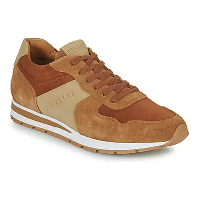 Pellet MARCEL men's Shoes (Trainers) in Brown